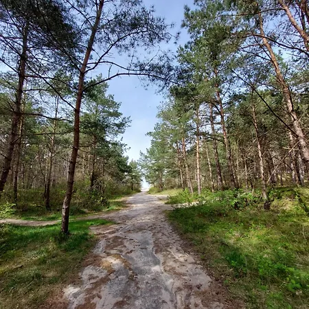 Harmony Pearl Appartamento *