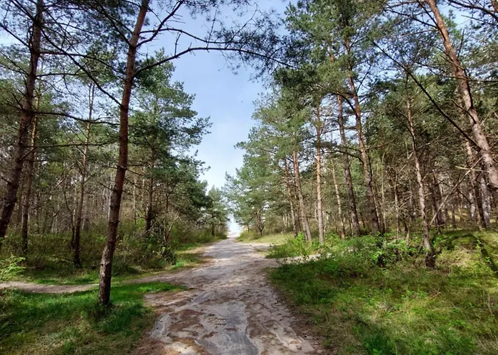 Harmony Pearl Appartement *